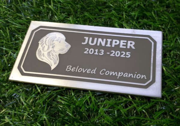Pet Memorial | Pet Remembrance | Indoor or Outdoor Ornament | Solid Metal Engraved Plaque | Etch Style - Image 2