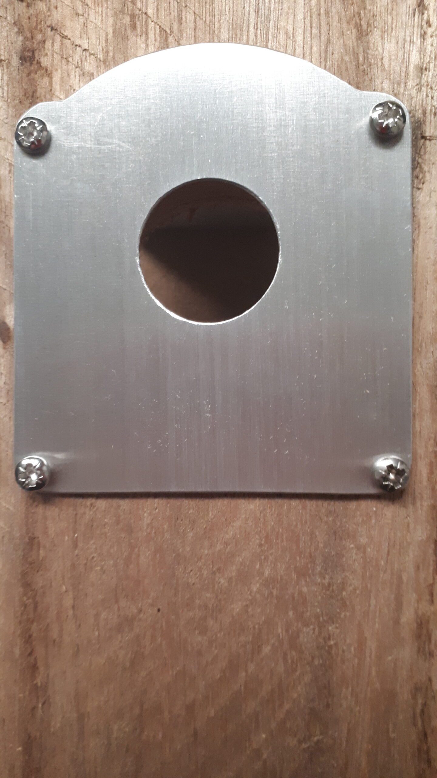 Bespoke Bird Nest Protection Plate | Engraved Wildlife Memorial for Bird Lovers - Image 2