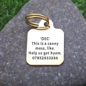 "This is a canny mess, like. Help us get hyem." is the georgie phrase on this solid brass pet ID tag. Along wihith the pet name and telephone. You can also have the rear engraved too.