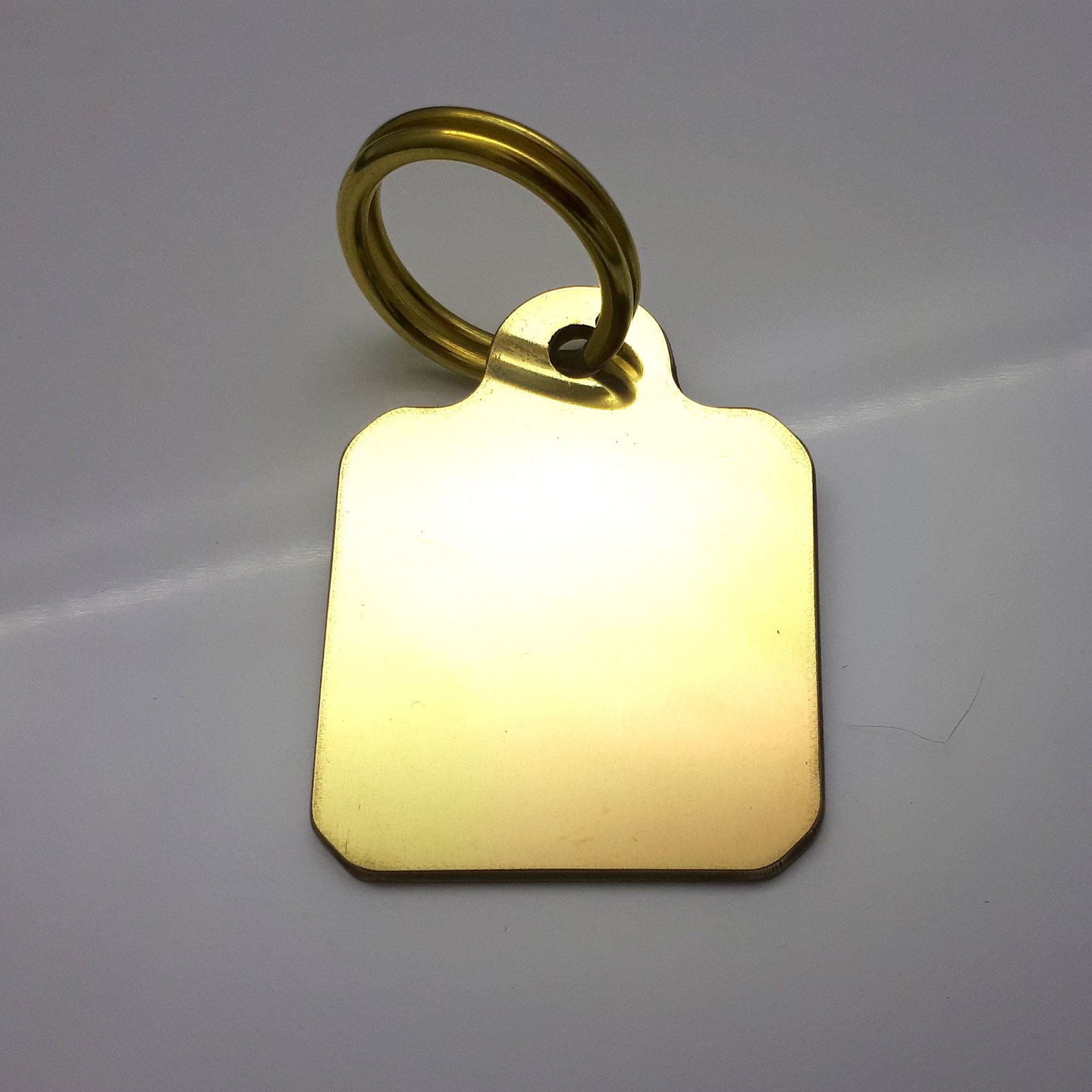 ๐พ Fun Solid Brass Pet ID Tag - Scottish Text 'Wee Dander' - Image 4