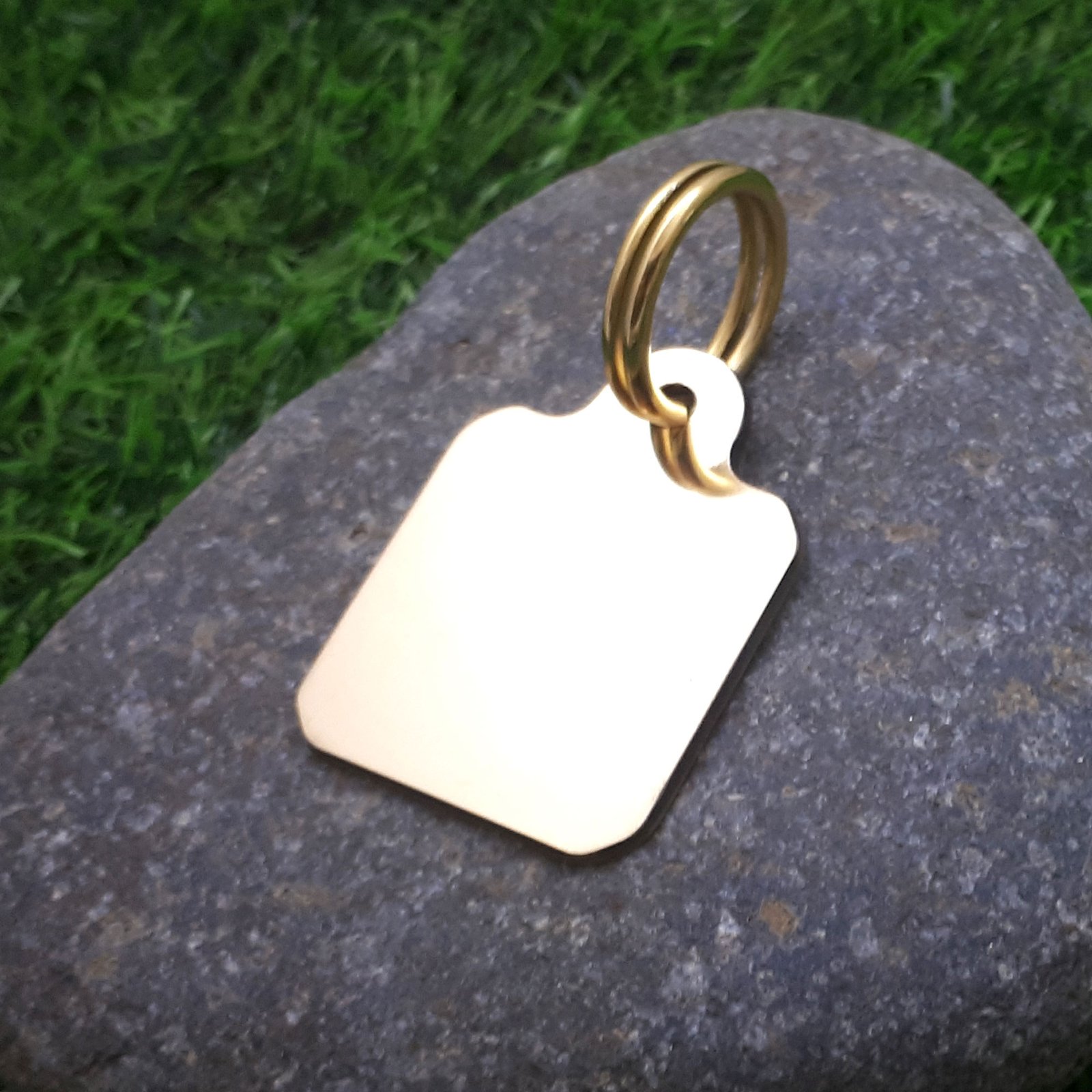 ๐พ Fun Solid Brass Pet ID Tag - Scottish Text 'Wee Dander' - Image 5