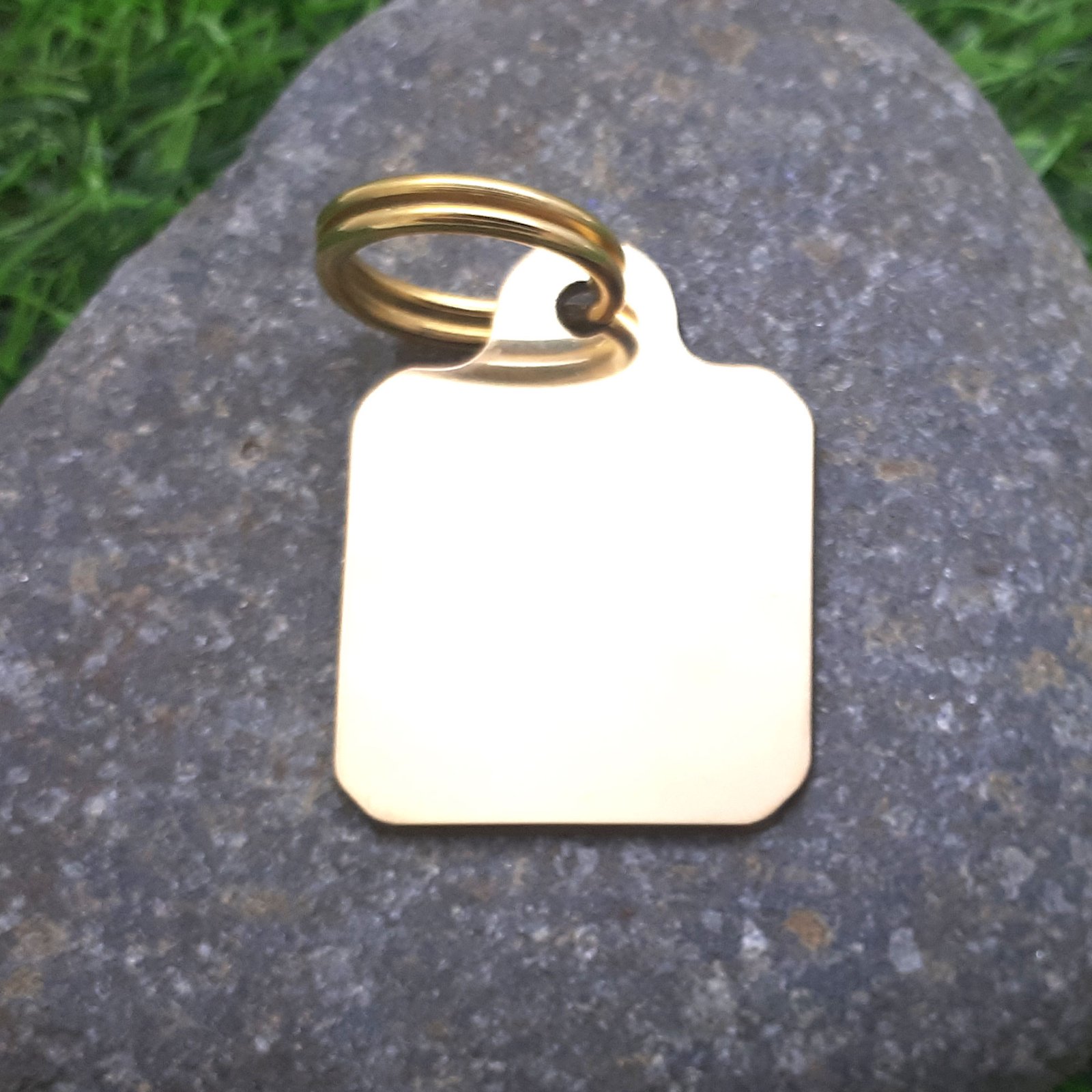 ๐พ Fun Solid Brass Pet ID Tag - Scottish Text 'Wee Dander' - Image 2