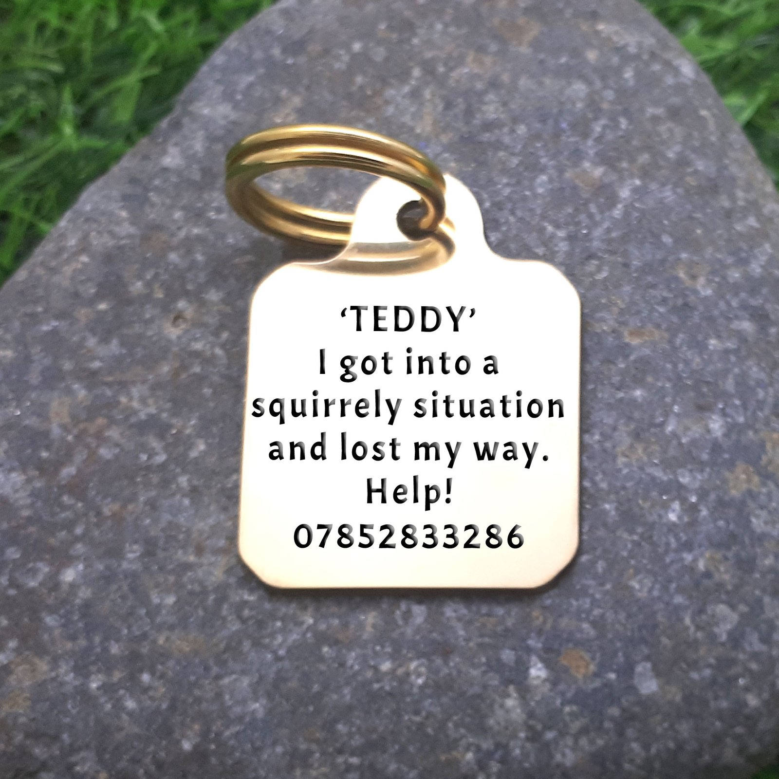 A smart, solid brass, square shape medallion pet ID tag, designed to last. With your pet's name, a contact number and the phrase "I got into a squirrely situation and lost my way. Help!" engraved deeply on the front. You can choose to have some text on the rear.